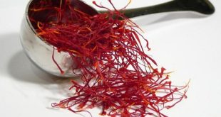 Harga Facemist Saffron Semua Merk