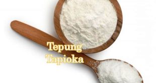 Harga Tepung Tapioka Saat Ini