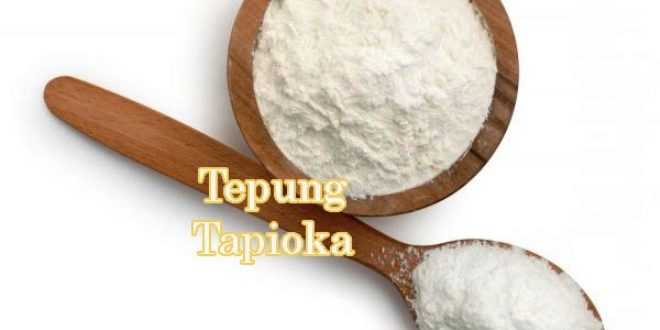 Harga Tepung Tapioka Saat Ini