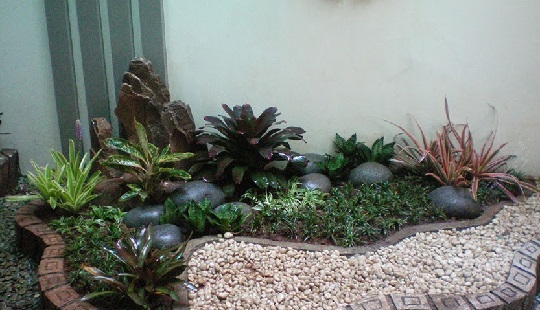 Taman Kering dengan Berbagai Tanaman Hias