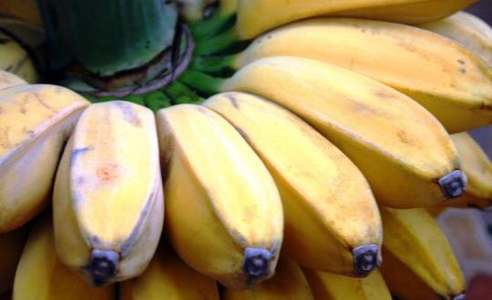 Update Harga Pisang Kepok Terbaru