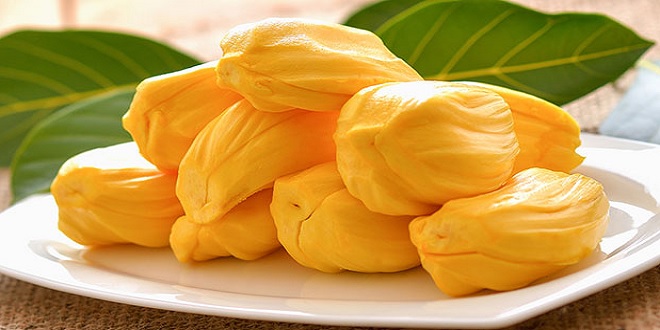 Harga Buah Nangka Per Kg Terbaru Pict