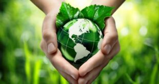 Keuntungan Menerapkan Gaya Hidup Go Green, Hidup Lebih Sehat dan Bumi Lebih Terjaga