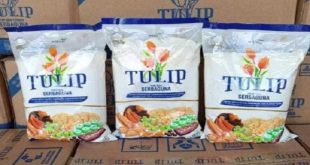 Harga Teoung Terigu Tulip Terbaru